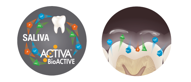 Leer más sobre el artículo Las 5 razones principales por las que ACTIVA™ BioACTIVE es bueno para ti